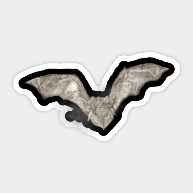 Bat Sticker by artsandherbs